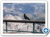 IMG_0786